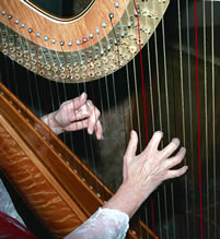 We are especially interested in the “tone” of your body, which is reflected in the tightness of your spinal cord. Harp Player